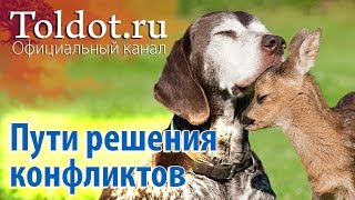Пути к решению конфликтов. Рав Ашер Кушнир, семинар в общинном центре Толдот Йешурун Пути к решению конфликтов. Рав Ашер Кушнир, семинар в общинном центре Толдот Йешурун