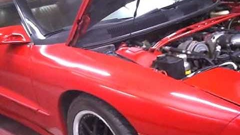 LT4 Trans AM Dyno Run
