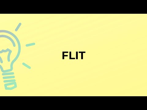 What is the meaning of the word FLIT?