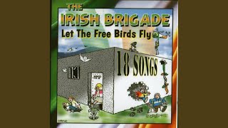 Video thumbnail of "The Irish Brigade - Joe McDonnel"