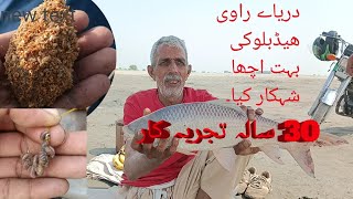 Big rahu fishing catching with hock live run carp haed baloki darya ravi river  30 Year experience