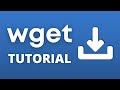 How To Use wget To Download a File (and a full website)