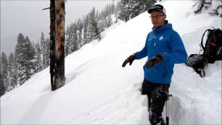 Sawtooth Mountains - Recent Avalanches - December 11th, 2016
