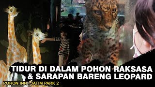 POHON INN HOTEL BATU MALANG | BATU SCREET ZOO | JUNGLE RESTO JATIMPARK 2 | REVIEW HOTEL UNIK