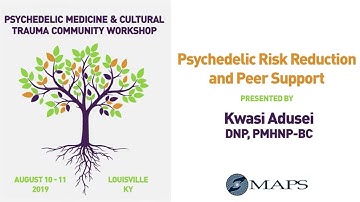 Psychedelic Risk Reduction and Peer Support