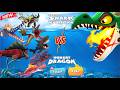 Hungry Shark Evolution All evolved sharks VS regular Hungry Dragon (All Unlocked) | Comparison 2024