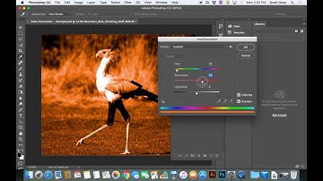 PSD Demo - Destructive vs Non-destructive adjustments, image adjustments, adjustment layers