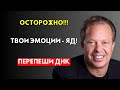 ВНУТРИ ТЕБЯ КРЕПОСТЬ! Как СТОИК ВЗЛОМАЛ МОЗГ - Джо Дизспенза