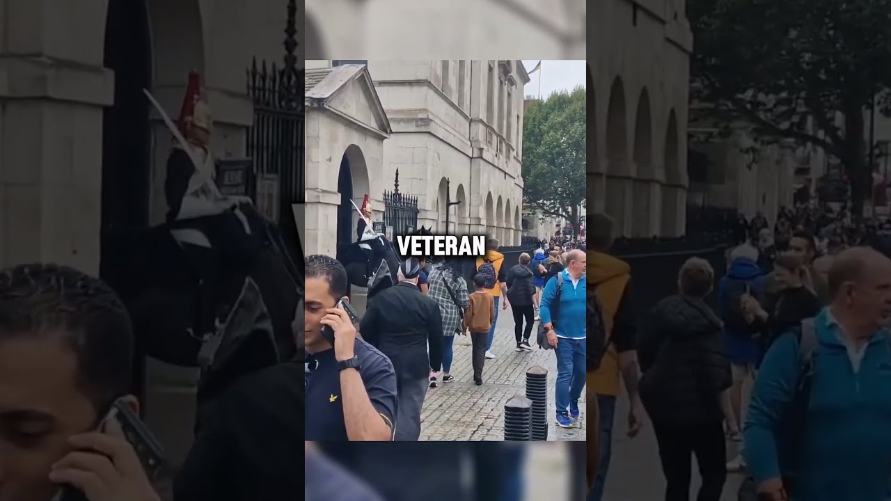 The Moment When A Veteran Salutes Both King S Guards