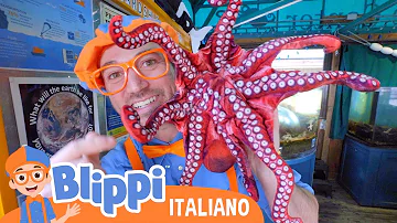 Imparare a conoscere gli animali marini con Blippi | Blippi in Italiano |Video educativi per bambini