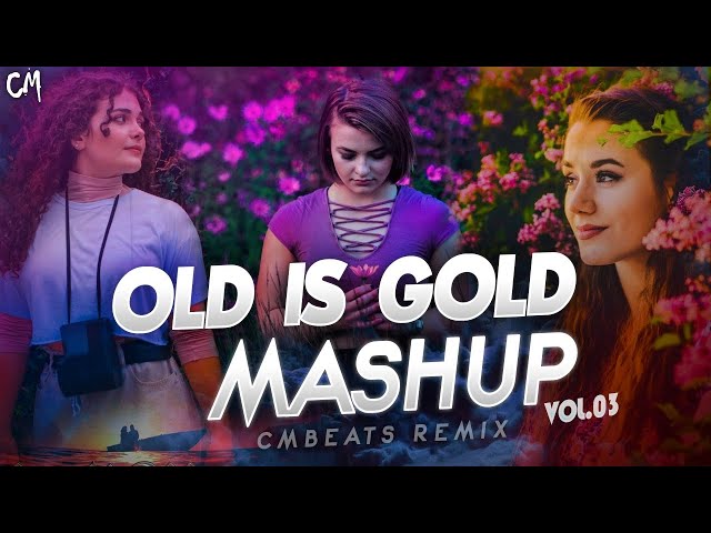 Old is Gold Mashup 6/8 (Vol:03) - (CMBeats Remix) TikTok Hit class=