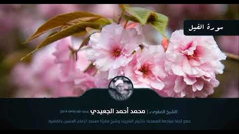 سورة الفيل || الشيخ المقرئ محمد أحمد الجعيدي رحمه الله