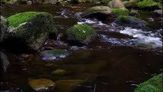 Background video air mengalir nocopyright