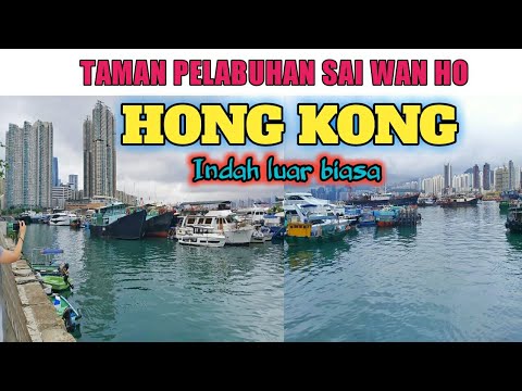 Video: Tempat Terbaik untuk Melihat Pelabuhan Hong Kong