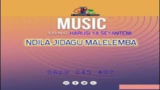 NDILA JIDAGU MALELEMBA~ HARUSI YA SEYANTEM