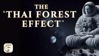 A Tradition Apart: The Overview Effect of Awareness from a Forest a Continent Away | Ajahn Kovilo