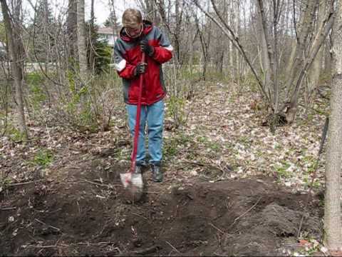 Tommy working at Kathleen's Wood Lot April 18 2010...