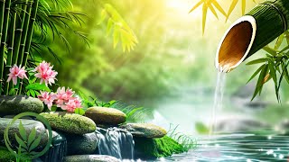 Relaxing Sleep Music: Meditation Music, Stress Relief, Heals The Mind, Bamboo, Nature Sounds