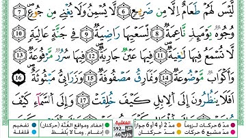 مصحف عبد الكبير الحديدي رواية ورش فيديو مكتوب ملون سورة 088  الغاشية