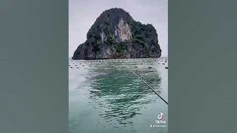 6 sai lầm cơ bản khi câu iso cá Tráp