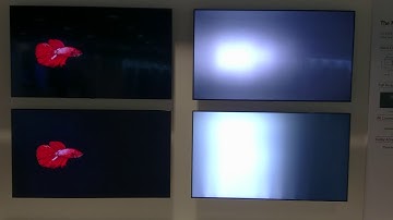 Local Dimming: FALD vs Edge LED Dimming, demo 2