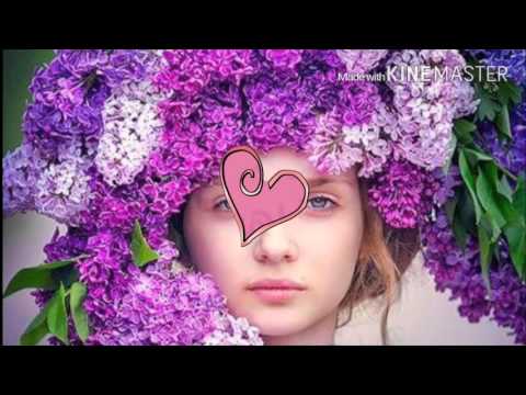 من اروع اغاني نبيل شعيل لايق عليك لايق