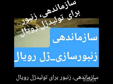 سازماندهی زنبورعسل