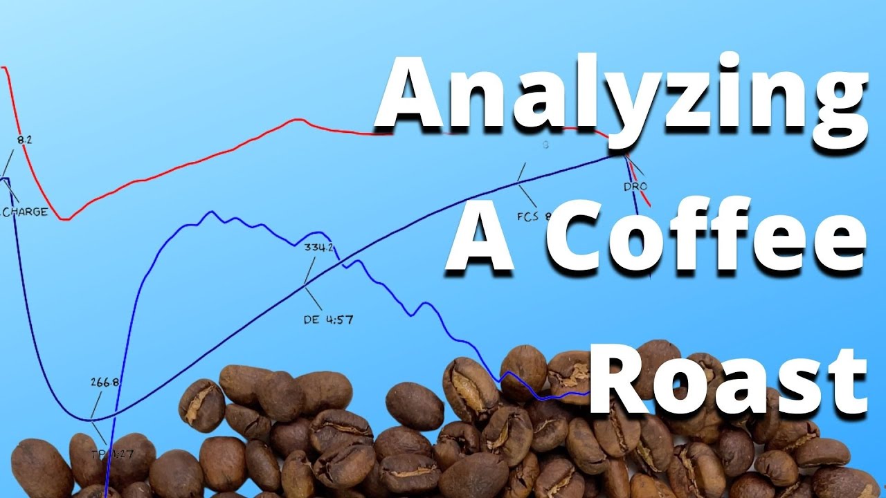 roast color scale  Coffee infographic, Coffee roasting, Coffee beans