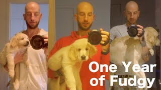 Fudgy’s One Year Time-lapse: plus, new doggies!