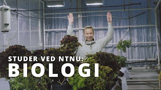 Studer biologi bachelor I NTNU