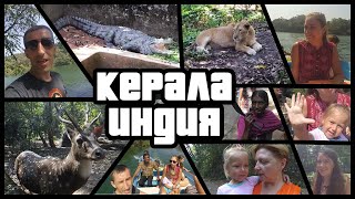 ИНДИЯ КЕРАЛА | Заповедник Нейяр Дам Часть 2 | ЛЬВЫ КРОКОДИЛЫ ВОДОПАД ИНДИЯ КЕРАЛА | Заповедник Нейяр Дам Часть 2 | ЛЬВЫ КРОКОДИЛЫ ВОДОПАД