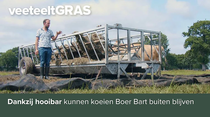 Dankzij hooibar kunnen koeien Boer Bart buiten bli...