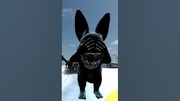 GUESS ZOONOMALY CREATURES | Size comparison of Zoonomaly monsters in Garry