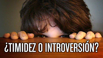 ¿Cómo hago feliz a mi introvertido?