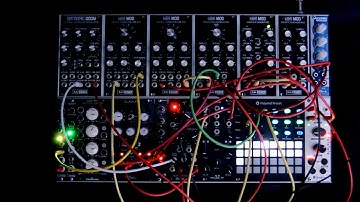 2 x Minimod VCO, Minimod Ladder Filter,Entropic Doom -AJH Synth/Polyend Preset/Hatz-Patching Panda