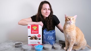 Top 10 Best Cat Litters of 2021 (We Tried Them All)