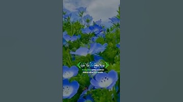 #قرآن #كريم #quran #kerim #اكسبلور سورة الشعراء الآيات 87_88_89