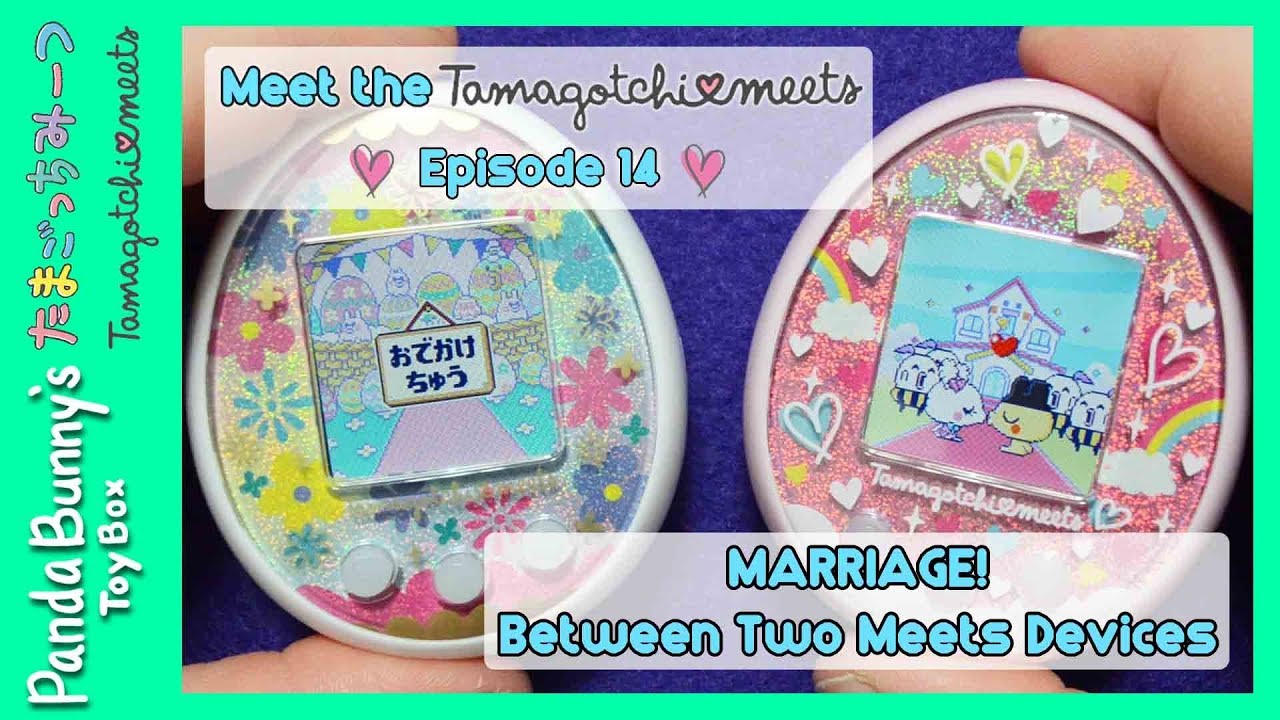 MARRIAGE Between Two Tamagotchi Meets 