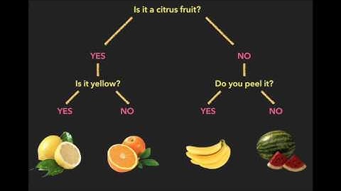 How to make a Choose Your Own Adventure Story with Google Forms