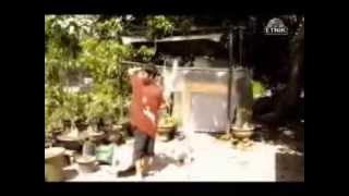 lagu tegar - versi kelantan