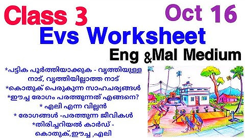Class 3 Evs Worksheet Oct 16/3rd std evs worksheet 16/10/21/Std 3 Environmental studies 16/10/21