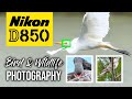 Nikon D850 | Bird & Wildlife Photography | 45MP Beast!