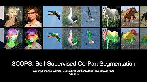 SCOPS: Self-Supervised Co-Part Segmentation