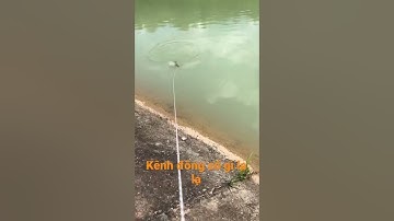 Kênh đông tây ninh có gì lạ lắm anh em