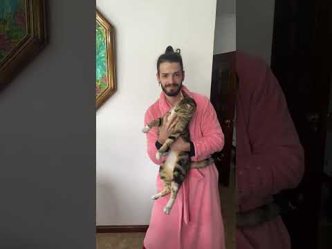 𝙿𝚊𝚗𝚝𝚎𝚛𝚊 𝚗𝚎𝚐𝚛𝚊 🐈😏