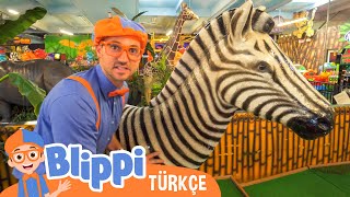 Blippi Orman Hayvanlarını Keşfediyor | Blippi Türkçe - Çocuklar için eğitici videolar | Türkçe Dub