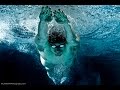 Самое мотивирующее видео о плавании и для пловцов