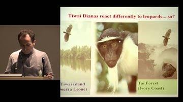 LAGB 2013 Henry Sweet Lecture: Philippe Schlenker