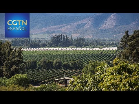 Chile alberga la feria de innovación más importante del agro en Sudamérica