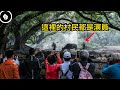 這座中國古風小鎮，一花一草到鎮民動物，全部都是演員...